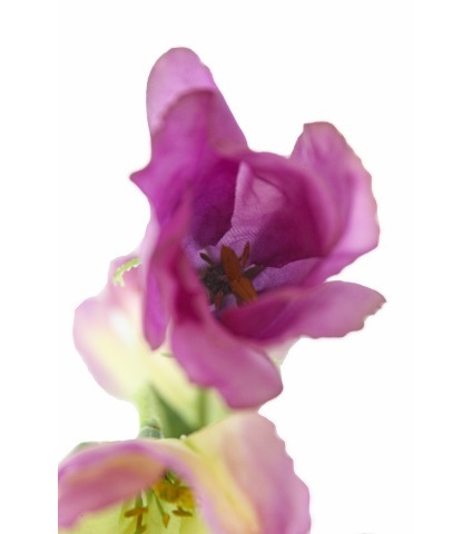Tige de lisianthus artificiel violet