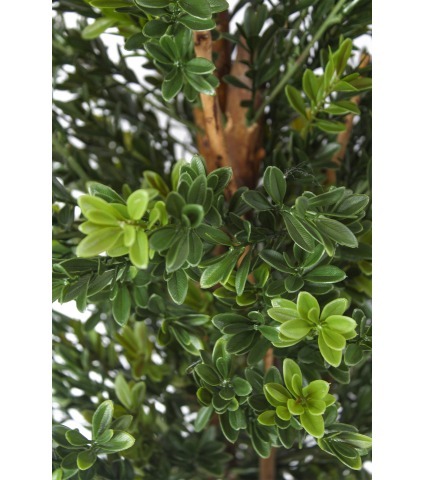 Buis artificiel arbustif