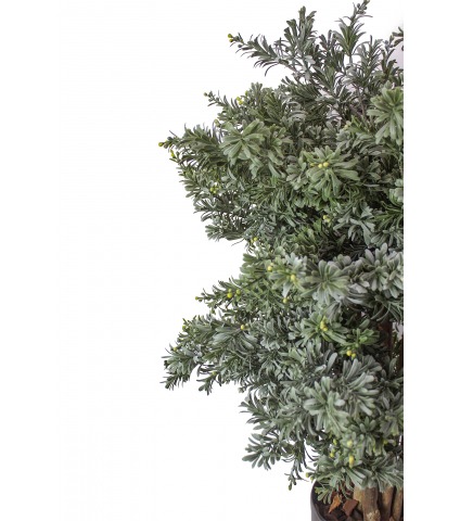 Crossosthephium artificiel