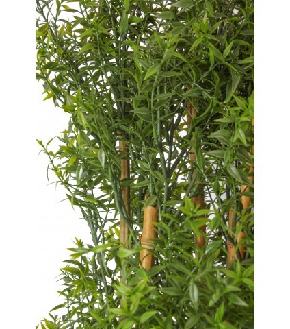 Haie artificielle d'eucalyptus