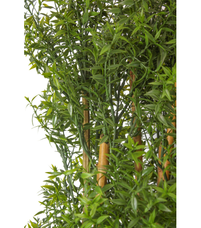Haie artificielle d'eucalyptus