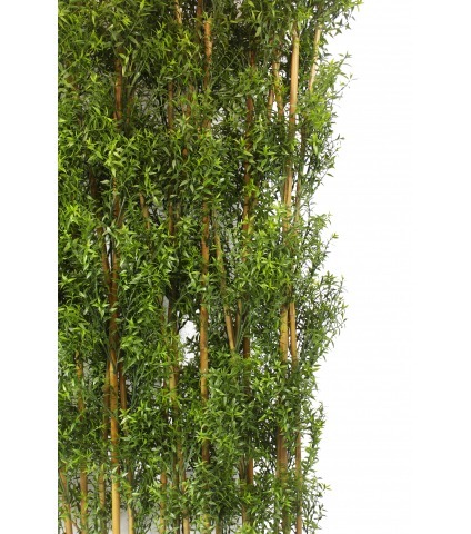 Haie artificielle d'eucalyptus