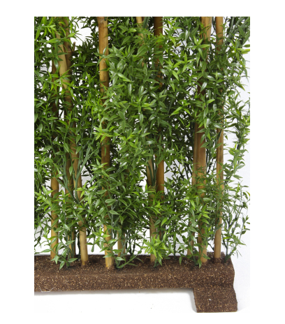 Haie artificielle d'eucalyptus