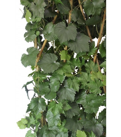 Cloison végétale artificielle de vigne