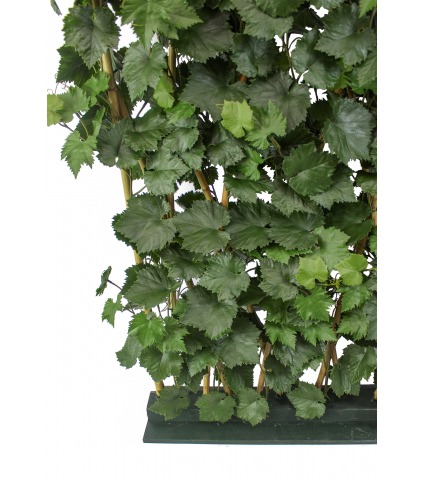 Cloison végétale artificielle de vigne