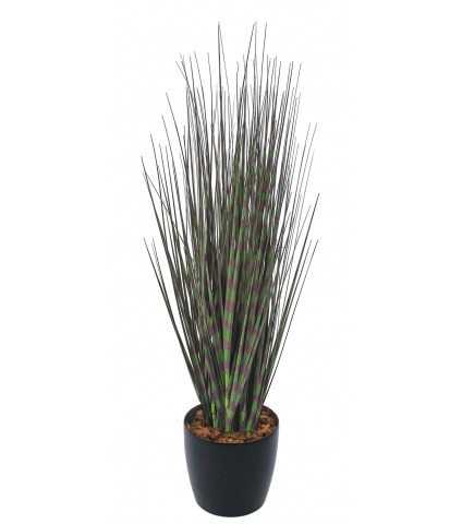Miscanthus zebrinus artificiel