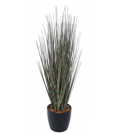 Miscanthus zebrinus artificiel