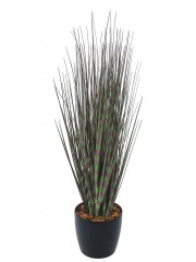 Miscanthus zebrinus artificiel