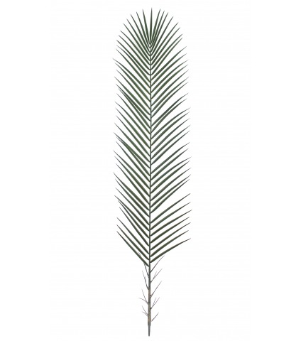 Feuille de palmier longue artificielle
