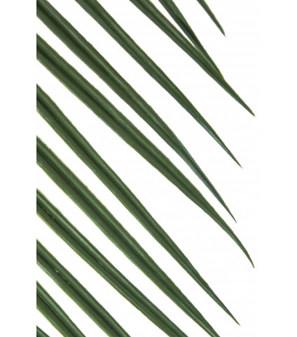 Feuille de palmier longue artificielle