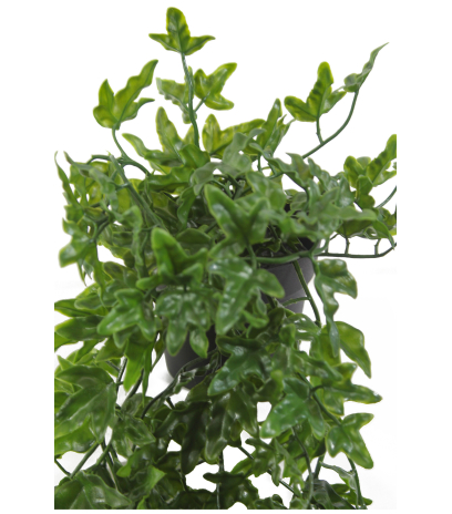 Lierre artificiel vert en pot