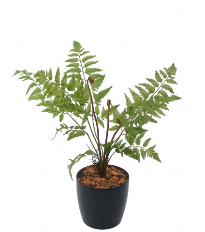 Fougère plume d'autruche artificielle