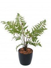 Fougère plume d'autruche artificielle