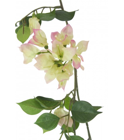 Guirlande de bougainvillée jaune et rose