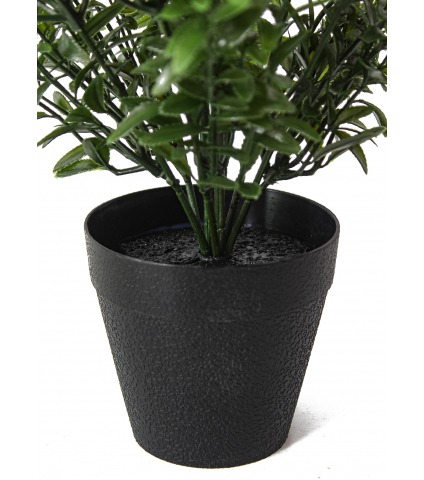 Pot
