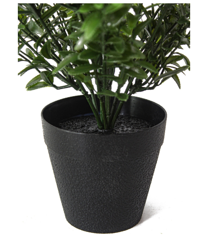 Pot