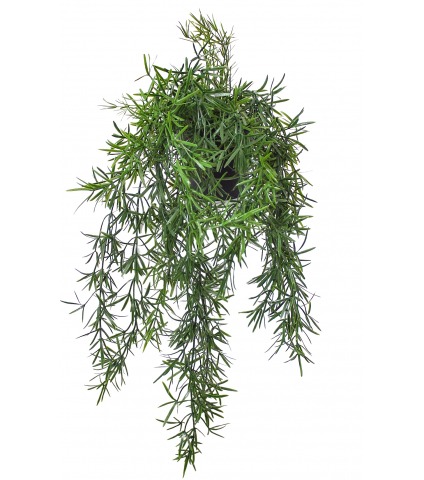 Chute d'asparagus artificielle en pot