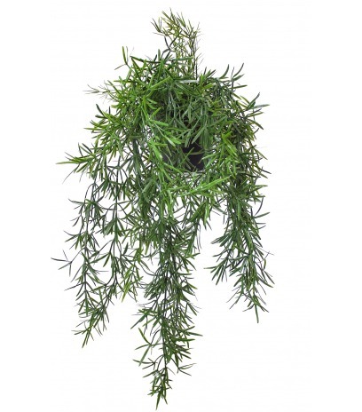 Chute d'asparagus artificielle en pot