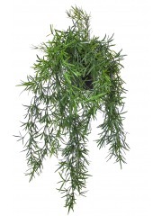 Chute d'asparagus artificielle en pot