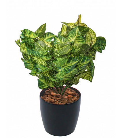 Syngonium vert clair artificiel