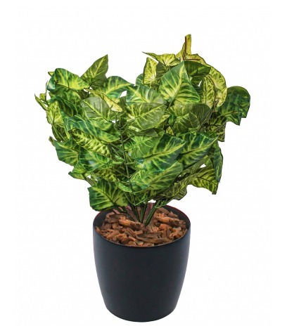 Syngonium vert clair artificiel