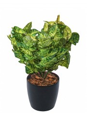 Syngonium vert clair artificiel
