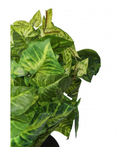 Syngonium vert clair artificiel