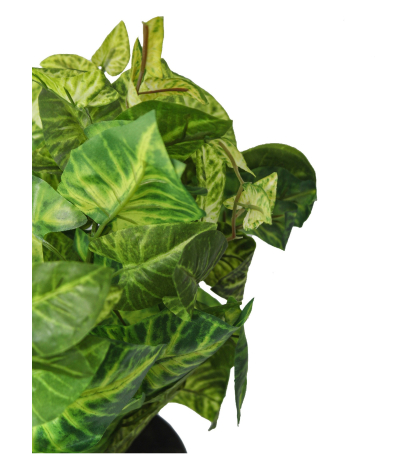 Syngonium vert clair artificiel