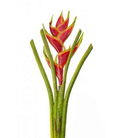 Héliconia artificielle sur tige