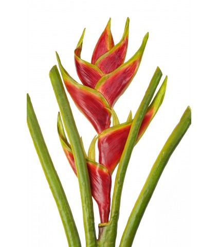 Héliconia artificielle sur tige