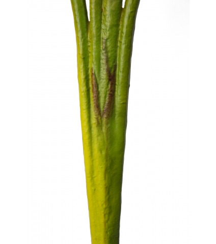 Héliconia artificielle sur tige