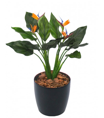 Strelitzia artificiel extérieur