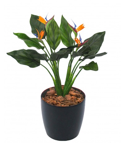 Strelitzia artificiel extérieur