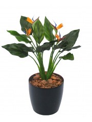 Strelitzia artificiel extérieur