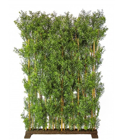 Haie artificielle d'eucalyptus