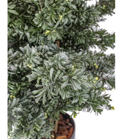 Crossosthephium artificiel