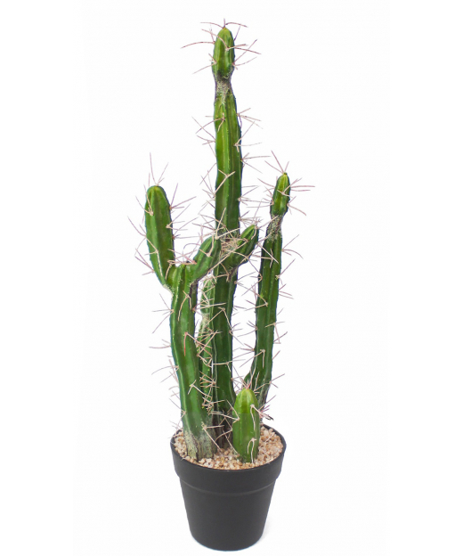 Cactus colonnaire artificiel