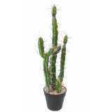 Cactus colonnaire artificiel