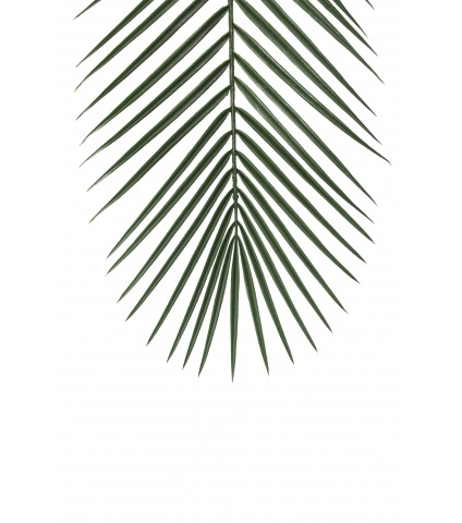 Feuille de palmier longue artificielle