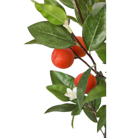 Branche d'oranger artificielle feuillue