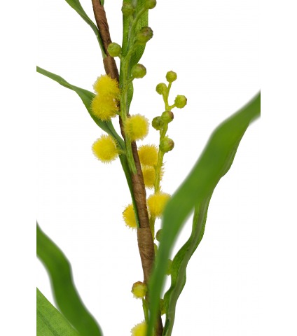 Mimosa artificiel palme d’or