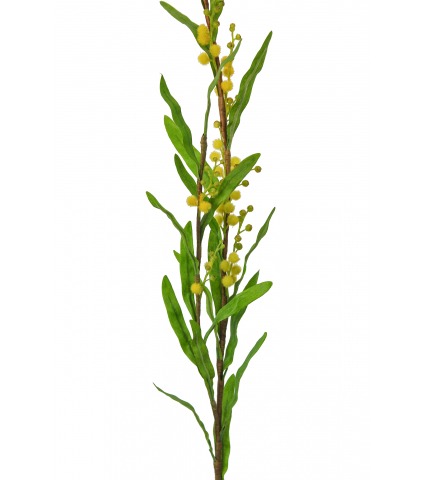 Mimosa artificiel palme d’or
