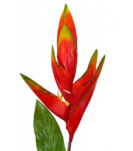 Feuille de strelitzia artificielle