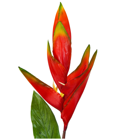 Feuille de strelitzia artificielle