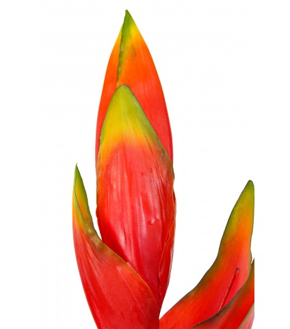 Feuille de strelitzia artificielle