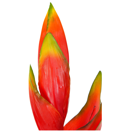 Feuille de strelitzia artificielle