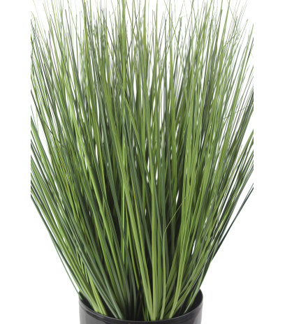 Herbe des prés artificielle