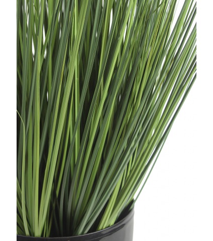 Herbe des prés artificielle