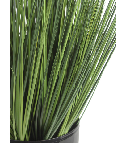 Herbe des prés artificielle
