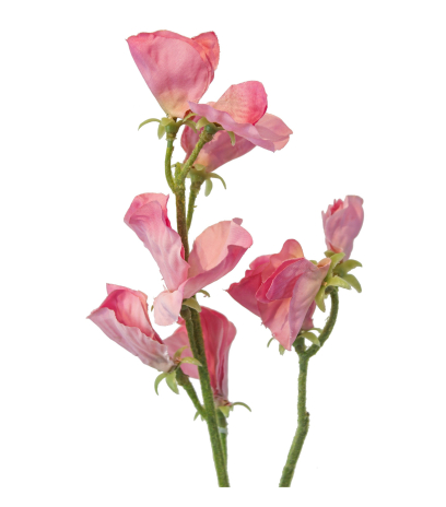 Pois de senteur artificiel rose